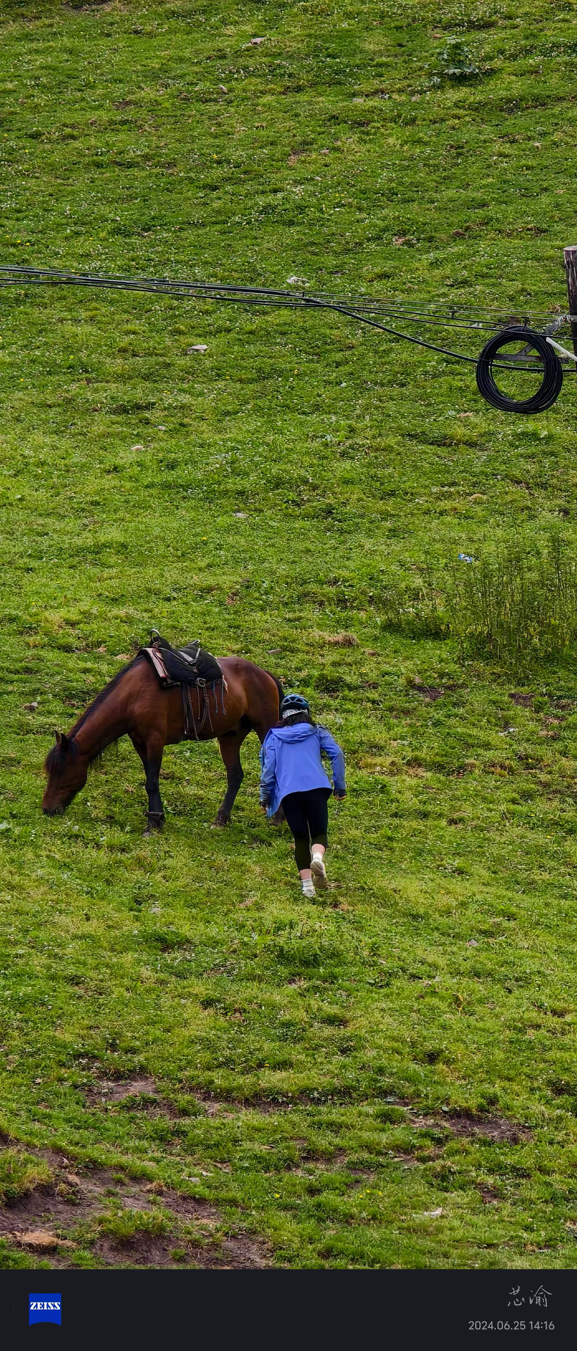 Taking a break beside a horse on a grassy hillside
